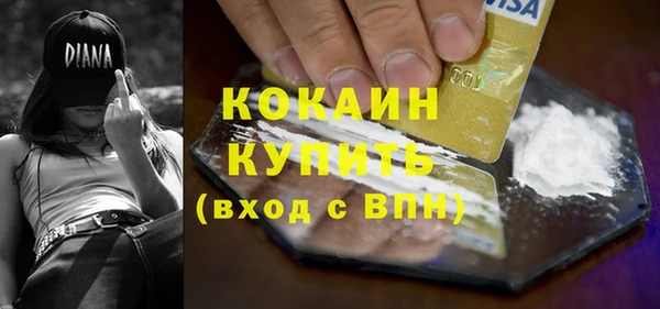 индика Арсеньев