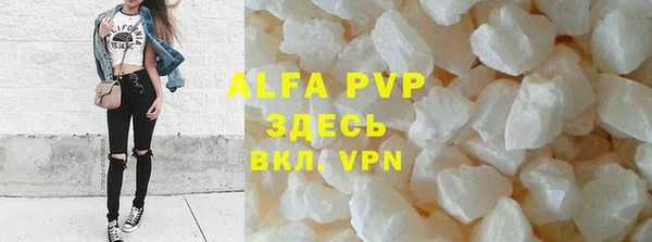 индика Арсеньев