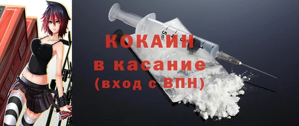 индика Арсеньев