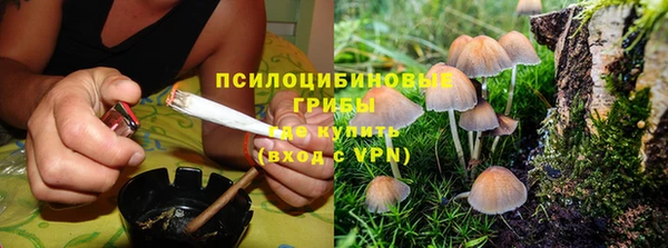 прущая мука Армянск