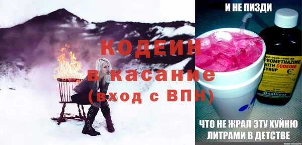 индика Арсеньев