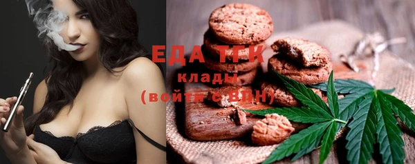 индика Арсеньев
