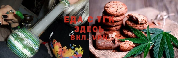 индика Арсеньев