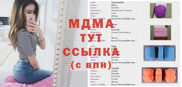 индика Арсеньев