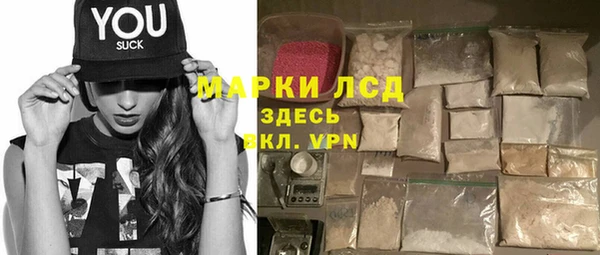 индика Арсеньев