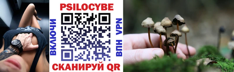 Псилоцибиновые грибы ЛСД  Знаменск 